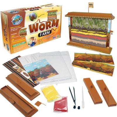 10 Buzz Worthy Creepy Crawly Insect Kits For the Classroom